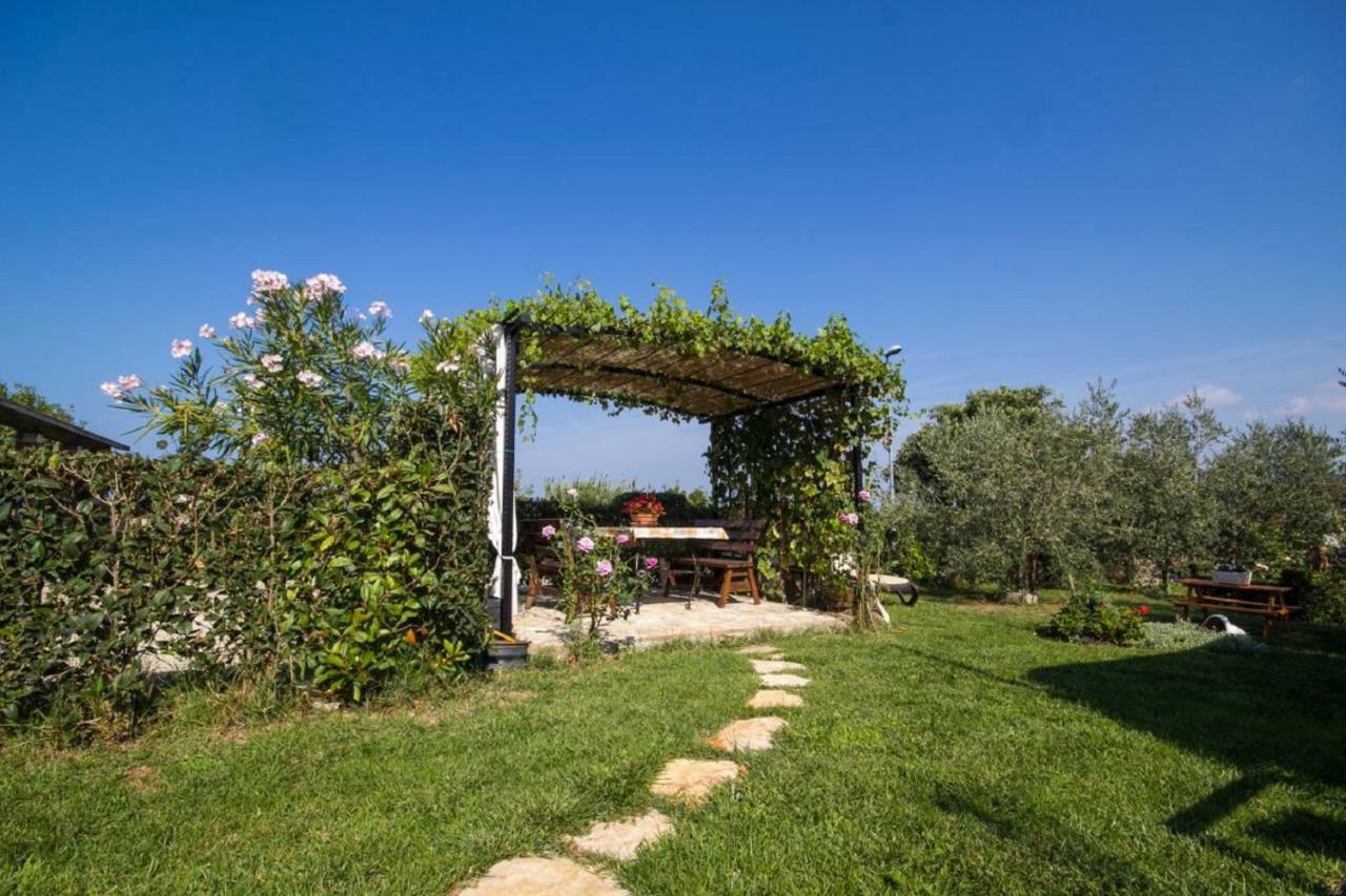 Rade Stancijeta Apartments Novigrad  Exterior photo